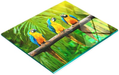 Duurzame en stijlvolle glazen snijplank met papegaaientakkenpatroon, 60x52 cm