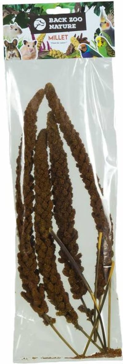 Franse Trosgierst Rood 150 Gr - BACK ZOO NATURE - Natuurlijke Voeding voor Vogels en Knaagdieren - Gezonde Snack