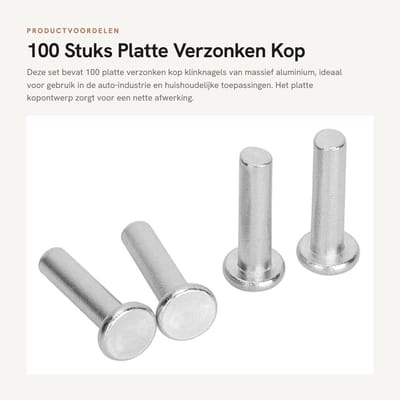 Dailygoods- Klinknagels 100 Stuks - Platte Kop - Massief Aluminium - Klinknagelset - Voor Huishoudelijke Auto-industrie - Georganiseerd in Plastic Doos - Bevestigingsmiddelen