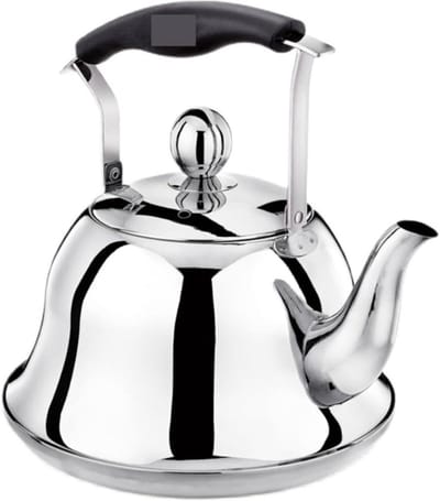 Waterkoker Fluitketel - Theepot Koken - Water Verwarmen - Anti-verbrandingsgreep - 1 Liter - Blauw Zilver