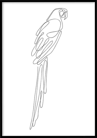Poster Papegaai - 30x40 cm met Fotolijst - Line art poster - Abstracte poster - Ingelijst - WALLLL