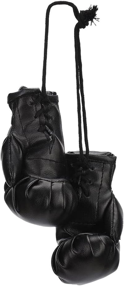 Scoby - Mini bokshandschoenen - Spiegelhanger - Auto accessoire - Boxing Gloves Ornament - Interieur decoratie - 10 x 5 cm - Zwart