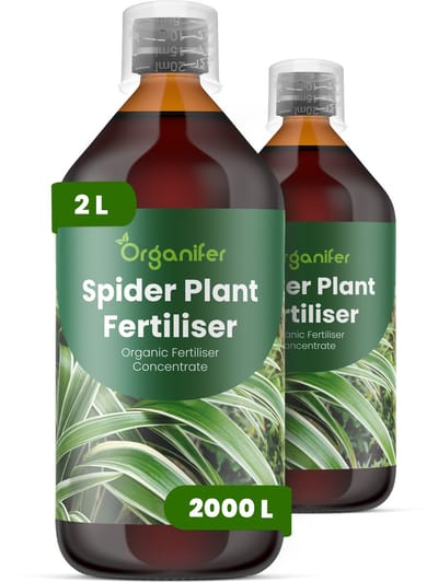 Vloeibare Meststof Voor Graslelie 2X1 L Voor 2000 L - Npk 2-1-8 - Ondersteunt Gezonde Groei - Versterkt Bonttekening En Bladkleur - Ondersteunt Plantvitaliteit En Visuele Kwaliteit - Ondersteunt De Vorming Van Gezonde Uitlopers - Organifer