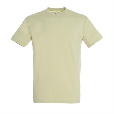SOL'S Regent T-Shirt 150 L150 - Sage green - S