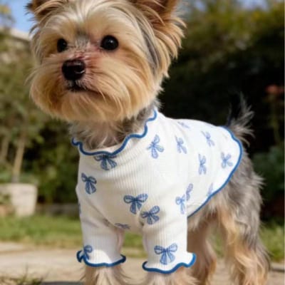 1 st Dier Hond/Kat Kleding, All-over Print met Roze Strikje, Ademende & Comfortabele Gebreide Trui, Geschikt voor Poedel, Chihuahua, Teddy, Lente/Herfst L