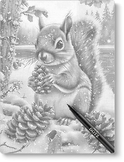 Eekhoorn met Dennenappels | Dot painting | 30x40cm | Dot painting | Oh My Dotz | Dots stippen | Diamond painting & Schilderen op nummer alternatief | Happy hobby