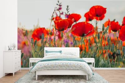 Behang - Fotobehang Klaproos - Bloemen - Rood - Paars - Weide - Breedte 320 cm x hoogte 240 cm