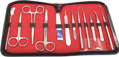 MEDLUXY® - Dissectie SET - 11 instrumenten + etui - Prepareer Set - ontleden, dissectie taxidermie - instrumentenset en snijset Geneeskunde