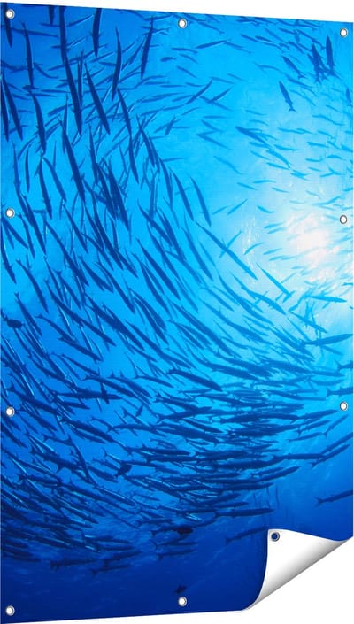 Gards Tuinposter Zwerm Vissen in de Oceaan - 80x120 cm - Tuindoek - Tuindecoratie - Wanddecoratie buiten - Tuinschilderij