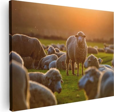 Artaza Canvas Schilderij Kudde Schapen - 40x30 cm - Klein - Muurdecoratie Landschap - Wanddecoratie Boerderij - Schilderijen Op Canvas