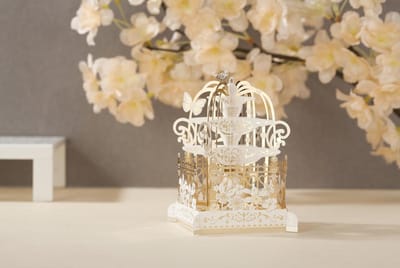 3D Verhuiskaart met vogeltjes en goud wit kooitje incl. berichtenpaneel