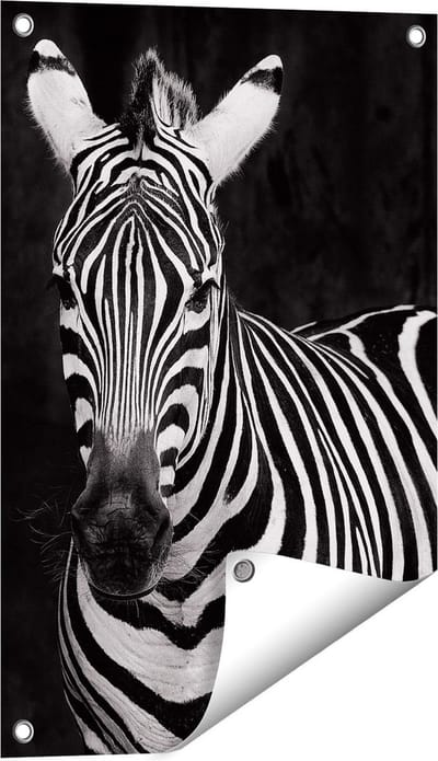 Gards Tuinposter Twee Zebra's - Zwart Wit - 40x60 cm - Tuindoek - Tuindecoratie - Wanddecoratie buiten - Tuinschilderij