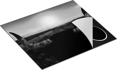 Chefcare Inductie Beschermer Stierenhoorns bij Zonsondergang - Zwart Wit - 60x50 cm - Afdekplaat Inductie - Kookplaat Beschermer - Inductie Mat