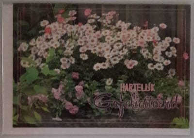 Hartelijk gefeliciteerd! Een grappige kaart met ontzettend veel madeliefjes in de tuin. Een leuke kaart om zo te geven of om bij een cadeau te voegen. Een dubbele wenskaart inclusief envelop en in folie verpakt.
