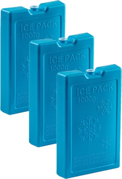 Plasticforte Koelelementen van 1000 gram - 6x stuks - blauw - 22 x 14.5 x 3.5 cm - voor koeltas en koelbox