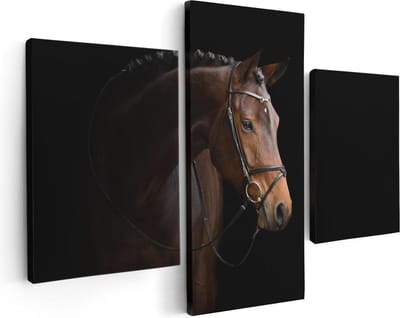 Artaza Canvas Schilderij Drieluik Bruin Paard Op Een Zwart Achtergrond - 90x60 - Foto Op Canvas - Canvas Print