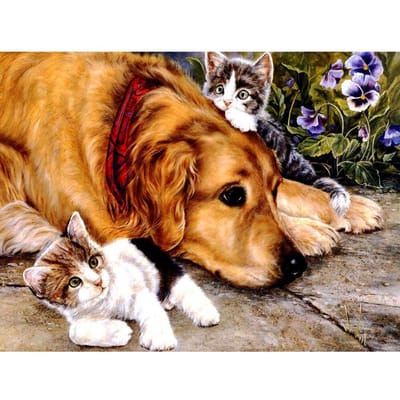 Hond & Kat DIY Crystal Volledige 5D Plastic Diamond Schilderen Cross Stitch Kit Art Mozaïek Vierkant Strass 20X30CM black