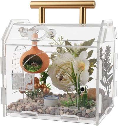 DailySupplies® Terrarium - Ecosysteem - Reptielenverblijf - Transparant