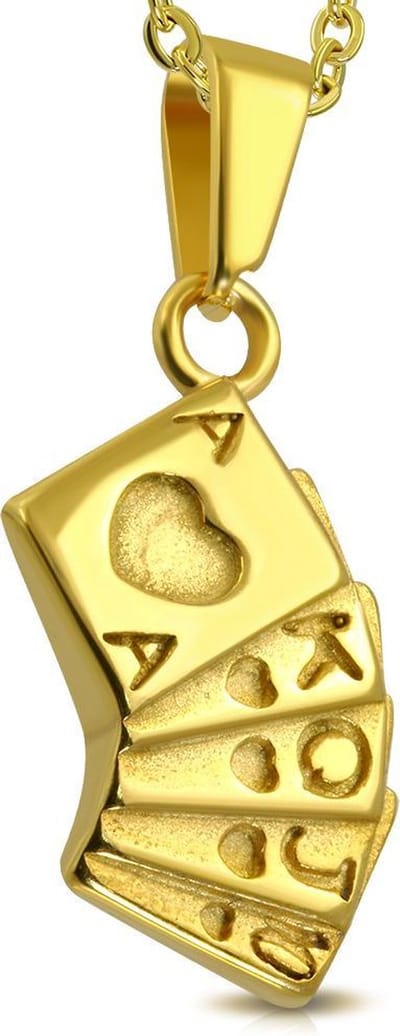 Amanto Ketting Amon G - 316L Staal - Spel - Poker - 23x10mm - 50cm