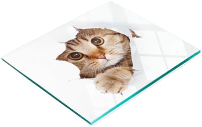 Duurzame en stijlvolle snijplank van gehard glas met kattenpatroon, 60x52 cm