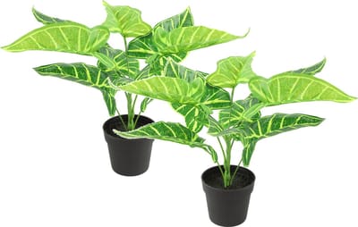 Countryfield Kunstplant Alocasia plant in bloempot - 2x - Groen - 15 x 32 cm