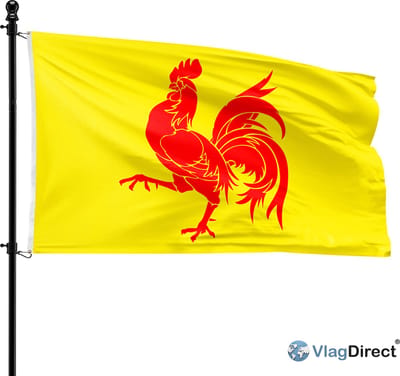 VlagDirect - Waalse vlag - Wallonië vlag - Waals Gewest vlag - 90 x 150 cm.