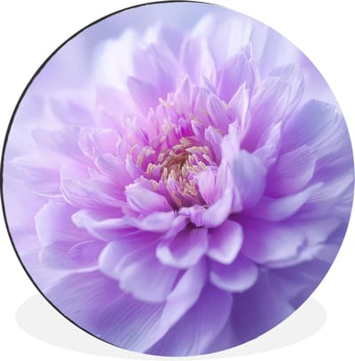 WallCircle - Wandcirkel - Muurcirkel - Paars - Dahlia - Dromerig - Aluminium - Dibond - 30x30 cm - Binnen en Buiten