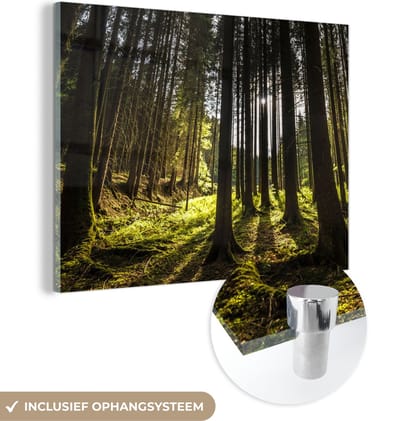 MuchoWow® Glasschilderij 120x90 cm - Schilderij acrylglas - Boom - Natuur - Zon - Bos - Foto op glas - Schilderijen