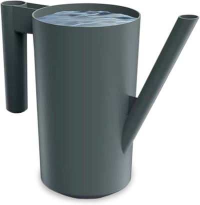 Gieter 2 Liter - Gietkan Planten - Planten Water Geven - Ergonomische Handgreep - 27.2 cm Lengte - Zwart