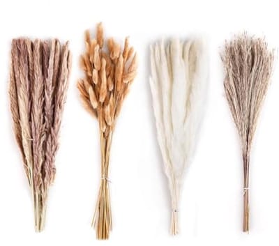 100 Stuks Natuurlijke Gedroogde Pampasgras Bloemen voor Boho Decoratie in Huis en Tuin