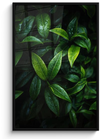 Poster in lijst - Fotolijst 80x120 cm - Posters - Bladeren - Regendruppels - Licht - Groen - Posterlijst zwart - Decoratie - Wanddecoratie woonkamer - Muurdecoratie slaapkamer