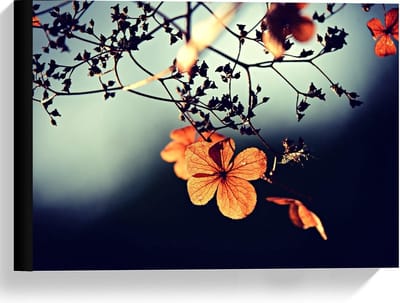 Canvas  - Oranje Bloem in een Boom  - 40x30cm Foto op Canvas Schilderij (Wanddecoratie op Canvas)