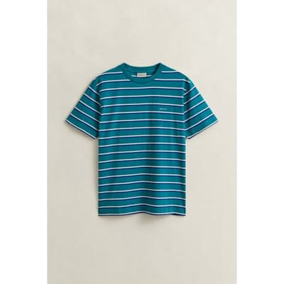 Gant T-Shirt Multistripe Organic Cotton Crew Neck Aqua Blue / male