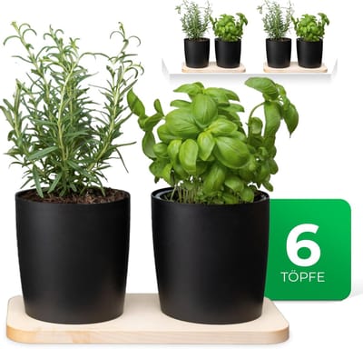 Novaliv Stijlvol kruidenstation Set van 6 met houten voet en 6 kruidenpotten voor elke vensterbank, voor verse keukenkruiden, kruidentuin voor de keuken, kruidenbed voor binnen, bloempot, plantenbak
