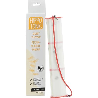 Grote vliegenvanger tape Hippotonic