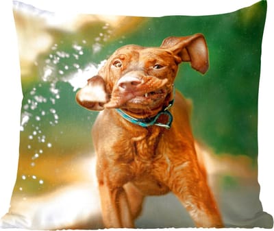 Sierkussens - Kussentjes Woonkamer - 60x60 cm - Nat - Hond - Water
