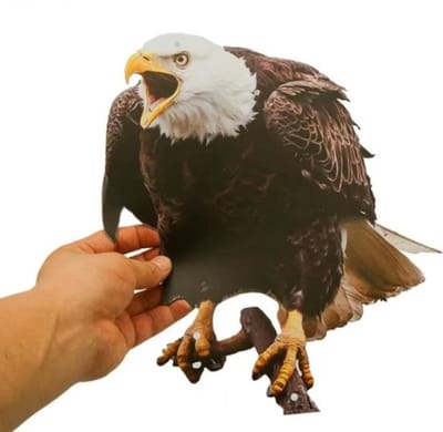 Duurzame Vogel afschrikkende Uil -Effectieve Vogelbeschermer met Bel voor Tuin en Fruitboomgaard
