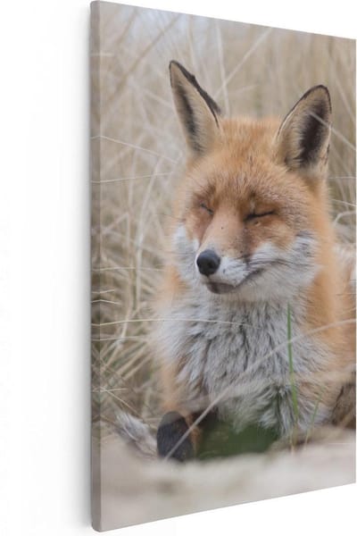 Artaza Canvas Schilderij Vos In Duingras - 20x30 cm - Klein - Wanddecoratie Dieren - Muurdecoratie Woonkamer - Kamer Accessoires
