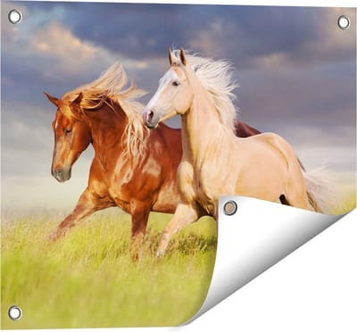 Gards Tuinposter Bruin en Wit Paard in de Wei - 50x40 cm - Tuindoek - Tuindecoratie - Wanddecoratie buiten - Tuinschilderij