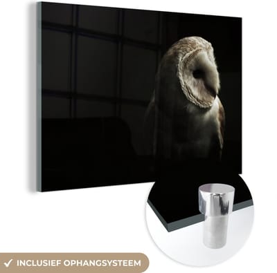 MuchoWow® Glasschilderij 120x80 cm - Schilderij acrylglas - Uil - Vogel - Portret - Foto op glas - Schilderijen