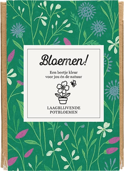 Blossombs Giftbox Mini - 4 Zaadbommetjes - Bloemen! - Laagbloeiende Mix - Bloemen Cadeau