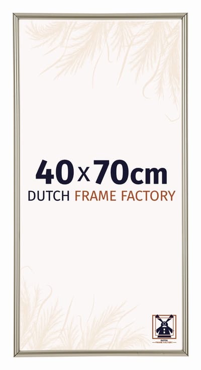 Fotolijst 40x70 cm - Kunststof - Champagne - Angers