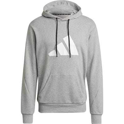 Hooded sweatshirt adidas Sportswear Future Icons Logo Graphic