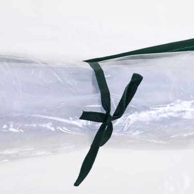 Wishdor - Foliekas Met Deur - Stalen Frame - Kunststof Folie - Transparant - 250 X 100 X 80 Cm