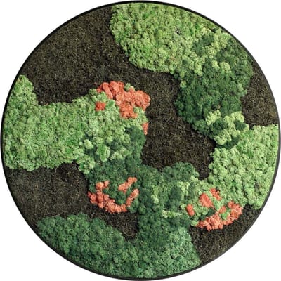 Mosschilderij Lilly - Cirkel 60cm - Luxe stalen rand zwart