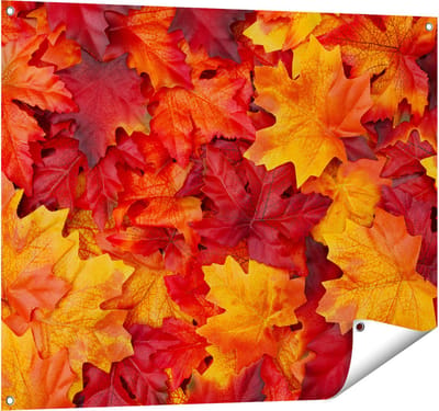 Gards Tuinposter Herfstbladeren in het Oranje en Rood - 100x80 cm - Tuindoek - Tuindecoratie - Wanddecoratie buiten - Tuinschilderij