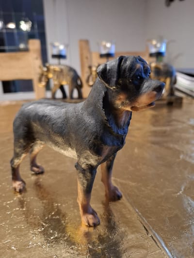 Beeld Rottweiler