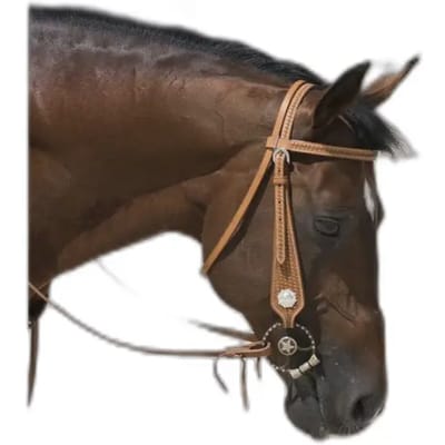 Hoofdstellen voor paarden Westride Franck Perret Aurora
