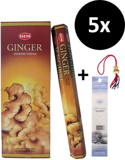 Wierook - Wierookstokjes - 5 Kokers - 100 Stokjes + 5 Mini Stokjes En 1 Gelukspoppetje - Geur Gember - Ginger