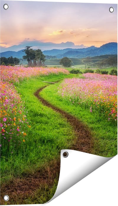 Gards Tuinposter Kosmos Bloemenveld met een Pad - Bloemen - 40x60 cm - Tuindoek - Tuindecoratie - Wanddecoratie buiten - Tuinschilderij
